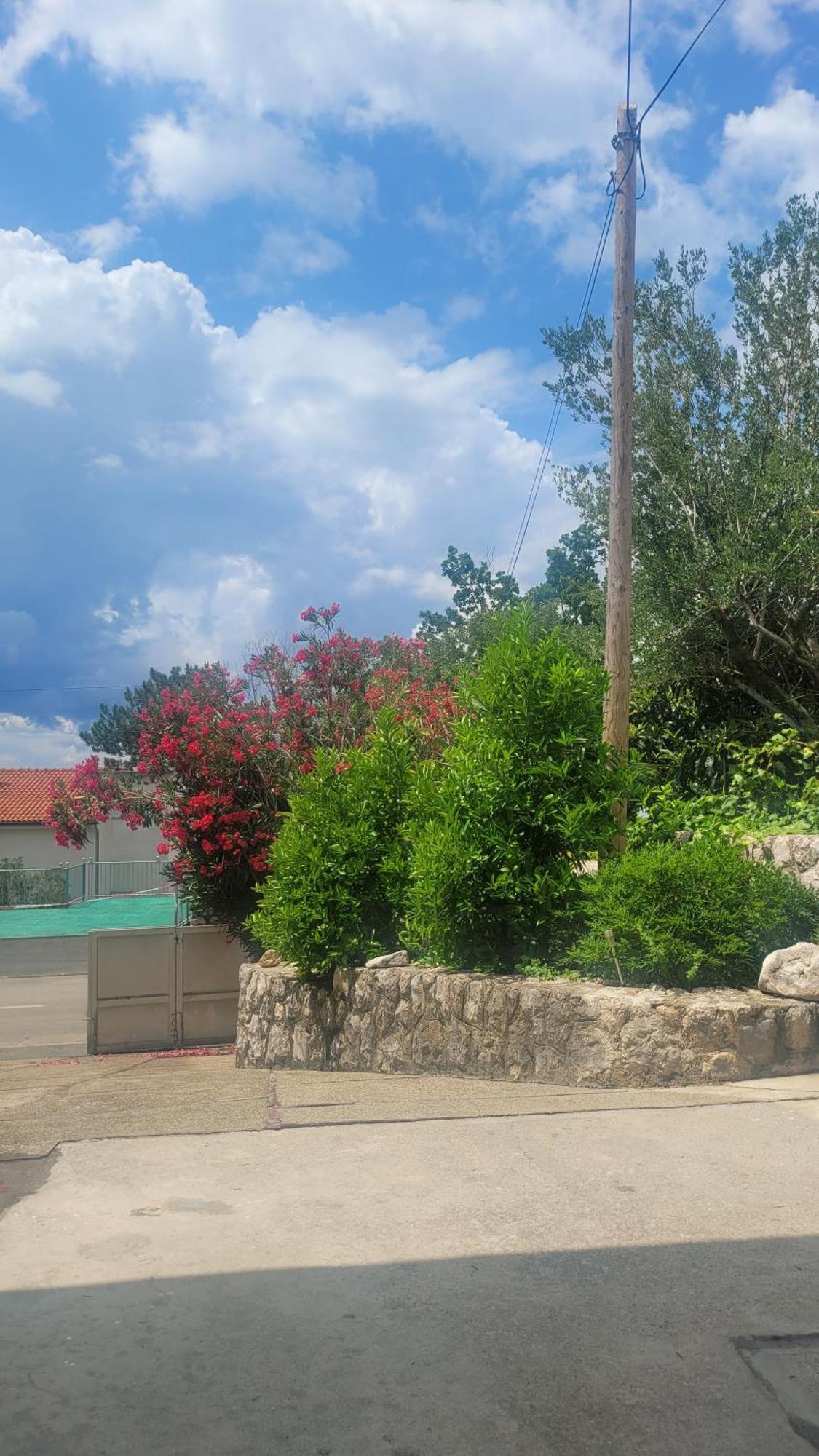 Apartment Tany Dramalj