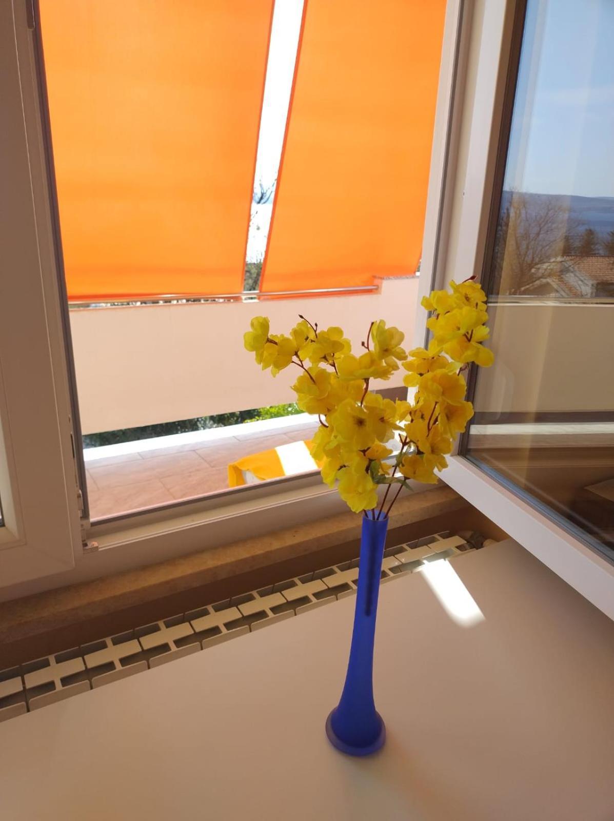 Apartment Tany